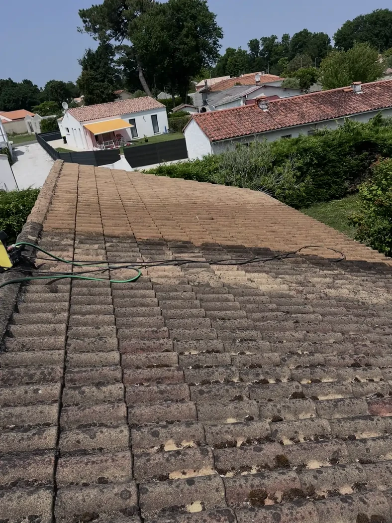 Nettoyage toiture et démoussage à Saint-Palais-sur-Mer